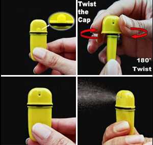 Squeeze Mist - Mini Air Freshner